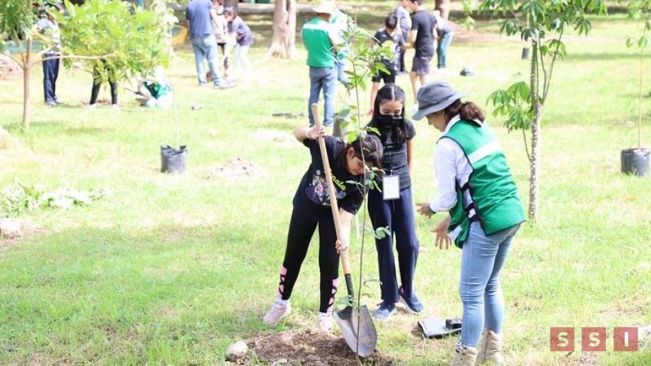 Parque del Oriente de fiesta con curso de verano, reforestación y nueva pista de patinaje - Susana Solis Informa