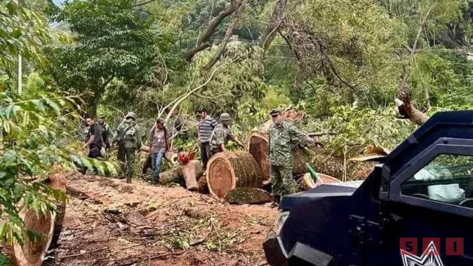 SE ENFRENTAN fuerzas federales y habitantes de la Sierra de Chiapas Susana Solis Informa