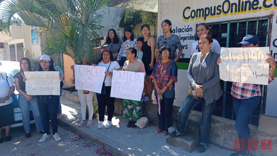 DENUNCIAN MATANZA de perros y gatos en Tuxtla Gutiérrez - Susana Solis Informa