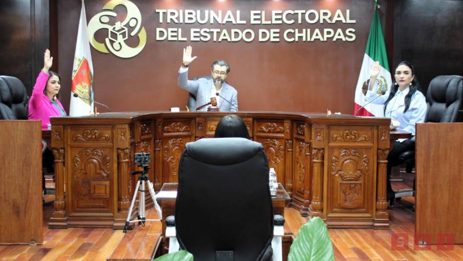 ¡Palo al PVEM! Ordena TEECH que partidos deben postular 2 mujeres en municipios más poblados - Susana Solis Informa