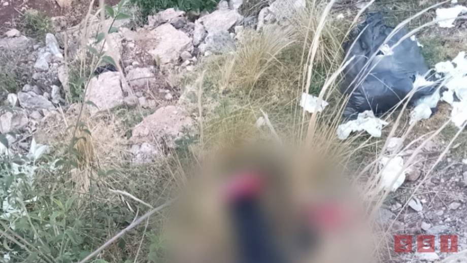 MAT4N a precandidato del PRI en Chiapas - Susana Solis Informa