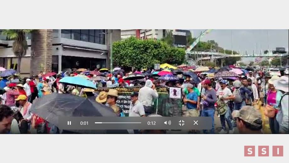 MAGISTERIO federal irá a paro indefinido - Susana Solis Informa