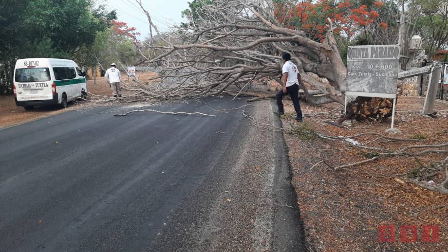 AFECTACIONES en Chiapas con las primeras lluvias - Susana Solis Informa