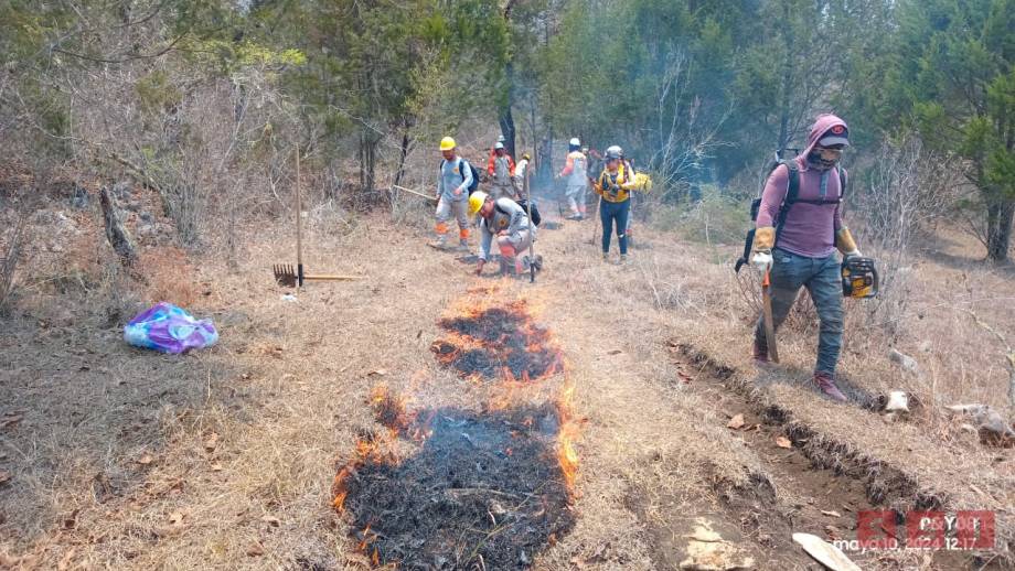 13 INCENDIOS forestales activos en Chiapas - Susana Solis Informa
