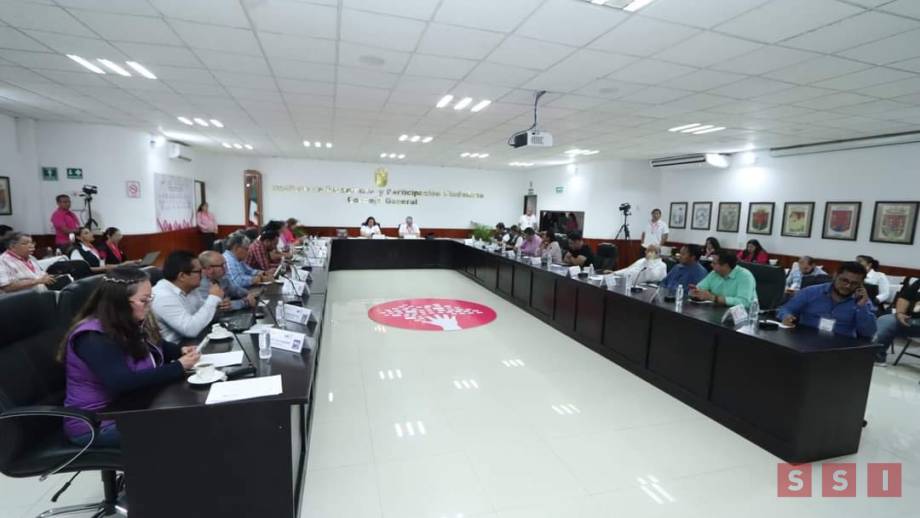 IEPC condena actos de violencia cometidos contra Consejos Distritales y Municipales - Susana Solis Informa