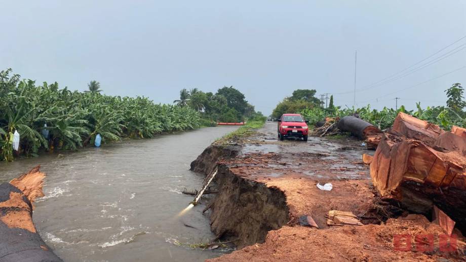 Gobierno de Chiapas emite declaratoria de emergencia para la atención de afectaciones en cultivos en el municipio de Suchiate - Susana Solis Informa