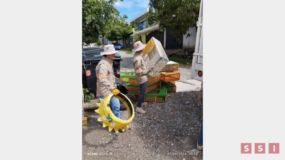 Descacharramiento esencial para prevenir dengue en Tuxtla Gutiérrez - Susana Solis Informa