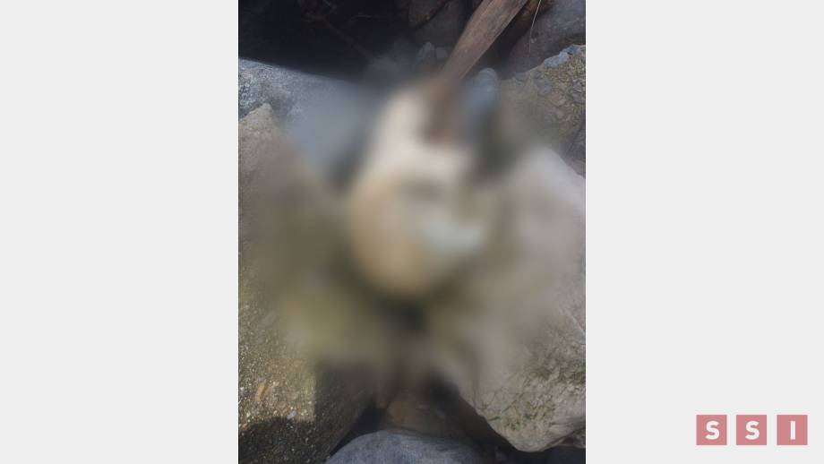 ENCUENTRAN restos humanos en frontera de Chiapas - Susana Solis Informa