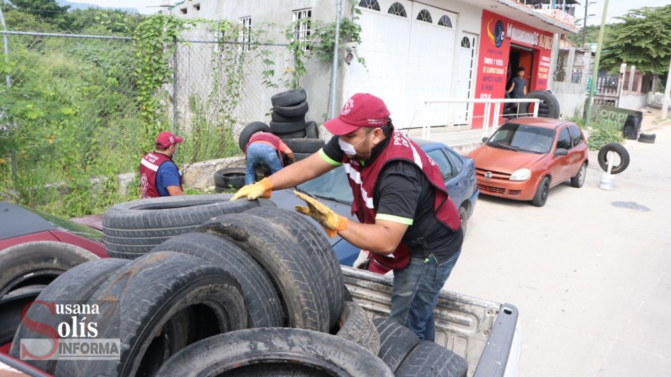 Se busca eliminar potenciales criaderos de mosquitos transmisores de dengue