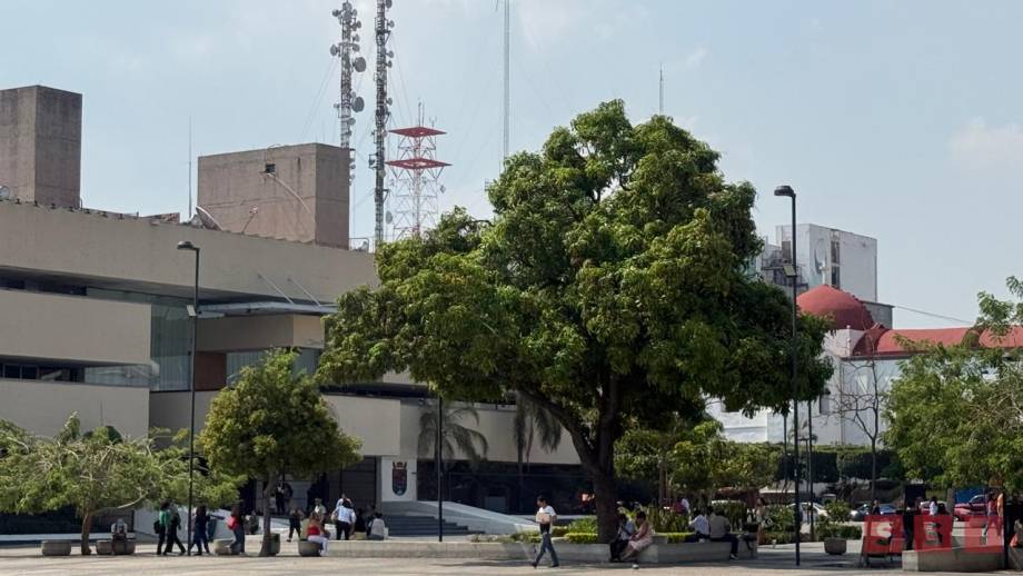 Mala calidad del aire en Tuxtla por incendios - Susana Solis Informa