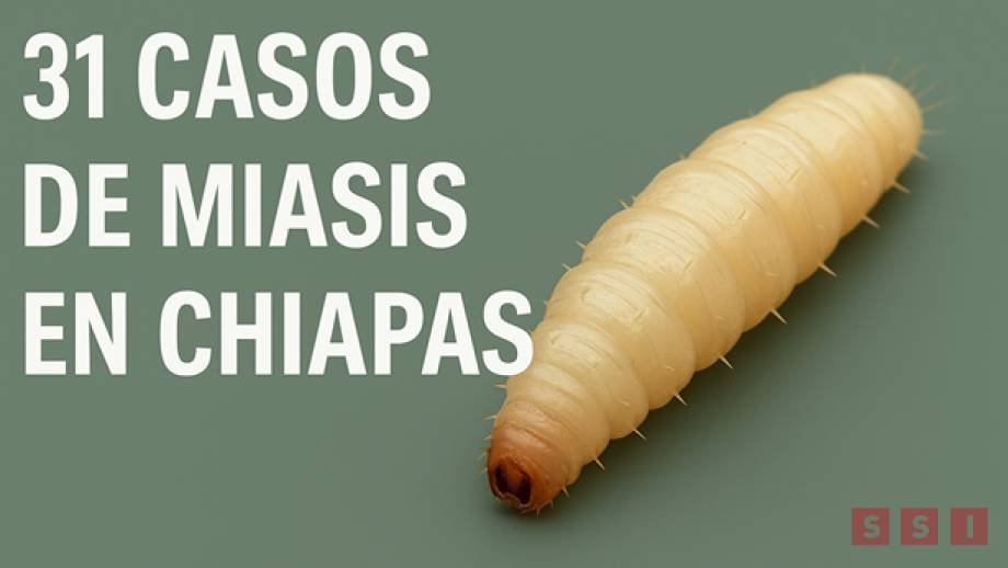 Suman 31 casos de miasis en humanos en Chiapas - Susana Solis Informa