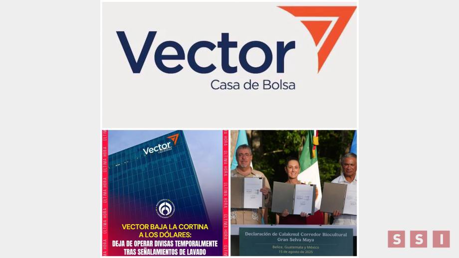 Bitácora de la “política a la chiapaneca” - Susana Solis Informa