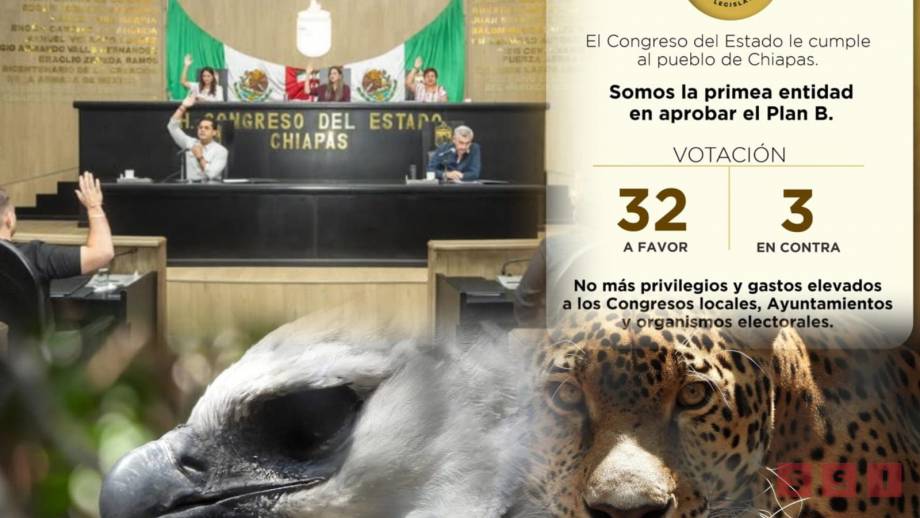 ¿Ser político es un buen negocio? - Susana Solis Informa