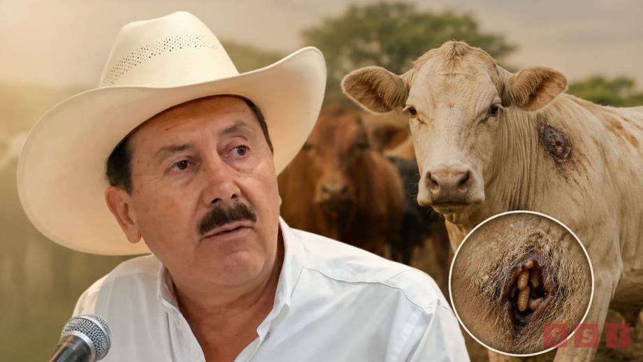 Plaga del gusano barrenador afecta precios y exportación de ganado chiapaneco - Susana Solis Informa