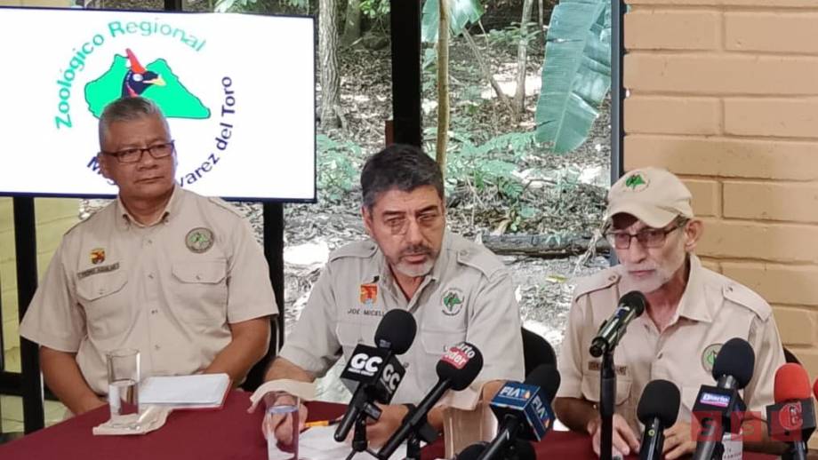 Susana Solis Informa Confirman dos casos de influenza aviar en aves del ZOOMAT en Chiapas