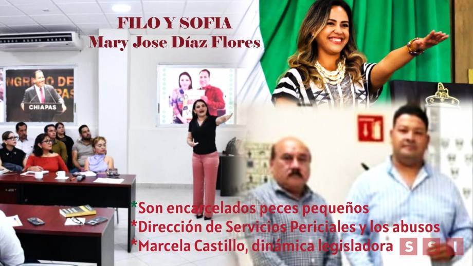 Son encarcelados “peces pequeños” - Susana Solis Informa