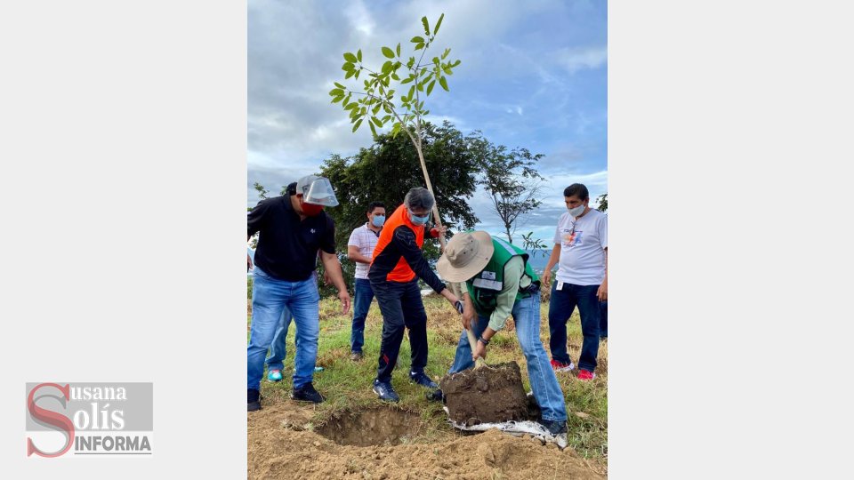 Con acciones de reforestación se promueve el cuidado del medio ambiente: Carlos Morales Susana Solis Informa